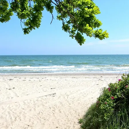 strandnahe FeWo mit Terrasse, gratis Nutzung vom AHOI Erlebnisbad und Sauna in Sellin - Rex Rugia FeWo 10-1 *