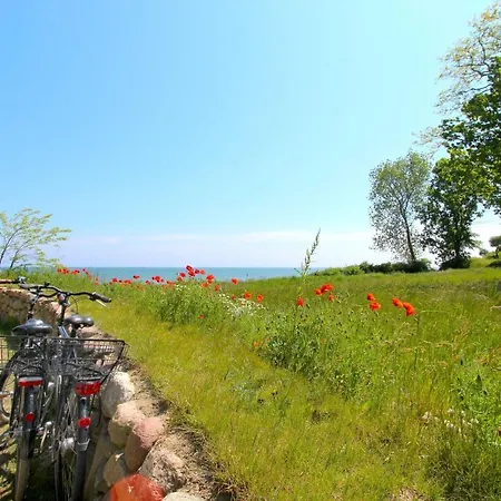 strandnahe FeWo mit Terrasse, gratis Nutzung vom AHOI Erlebnisbad und Sauna in Sellin - Rex Rugia FeWo 10-1 * Lobbe